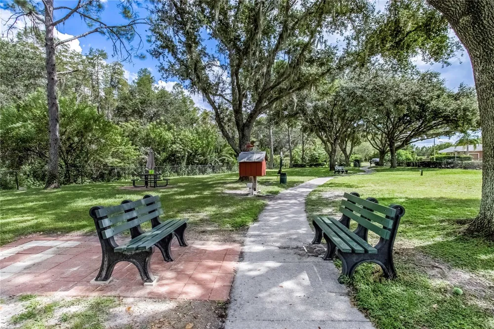7235 CLEOPATRA DRIVE Land O Lakes, FL 34637