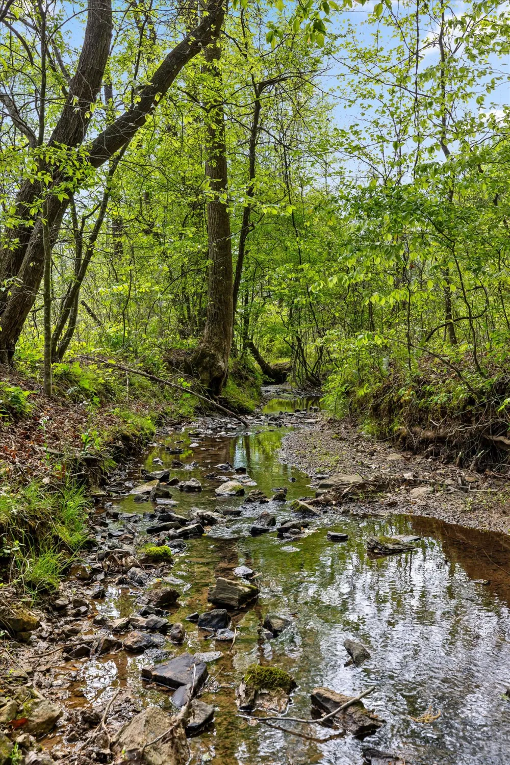 335 County Road 188 Decatur, TN 37322