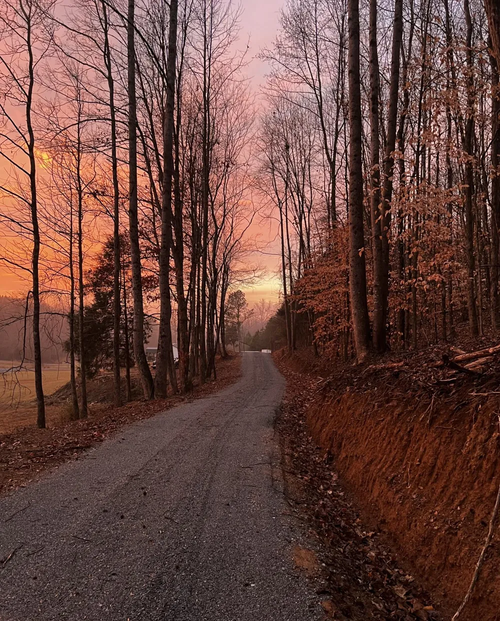 335 County Road 188 Decatur, TN 37322