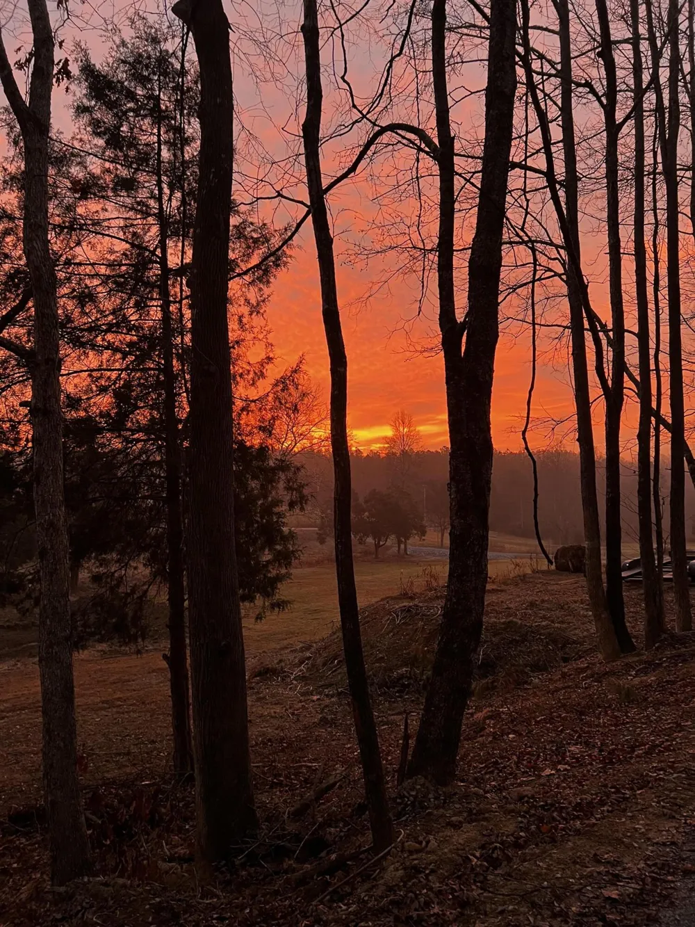 335 County Road 188 Decatur, TN 37322