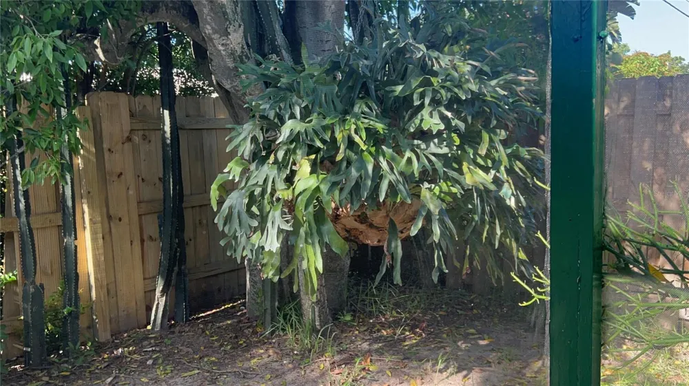 13406 BELLEWOOD AVENUE Seminole, FL 33776