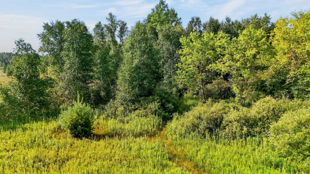 27048 Hawthorn Road #2039 Hinckley, MN 55037