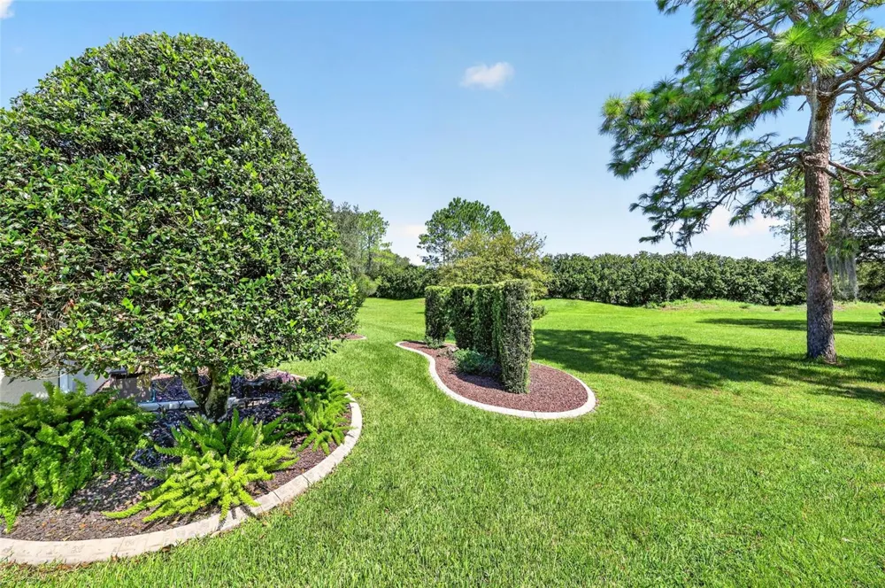 12765 SE 92ND COURT ROAD Summerfield, FL 34491