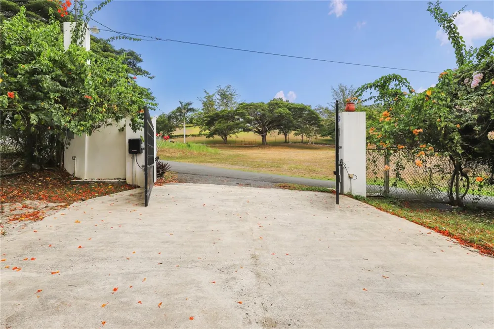 CALLE GOLONDRINA HACIENDAS DE CANOVANAS #D-23 Canovanas, PR 00729