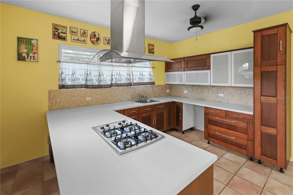 CALLE GOLONDRINA HACIENDAS DE CANOVANAS #D-23 Canovanas, PR 00729