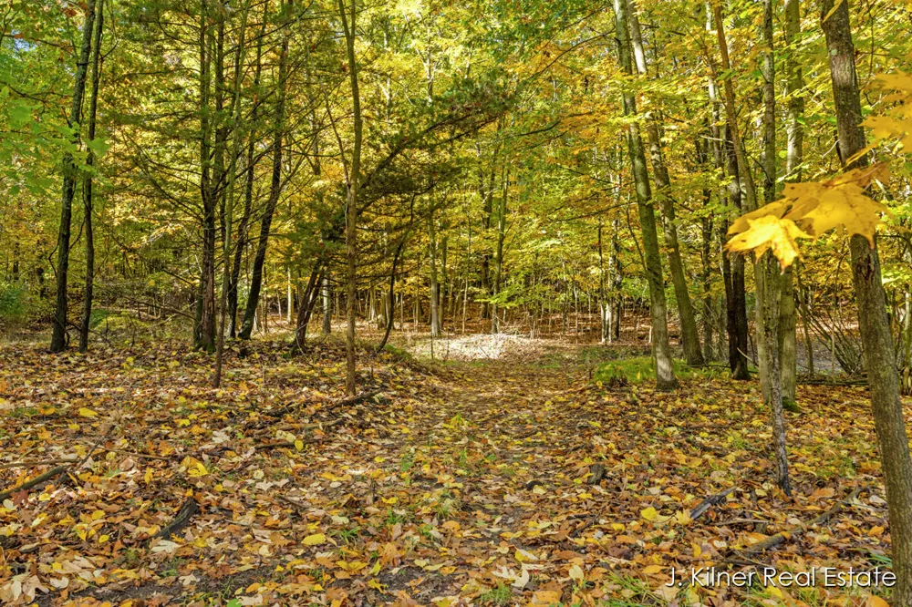 4390 22 Mile Road NW Tyrone Township, MI 49330