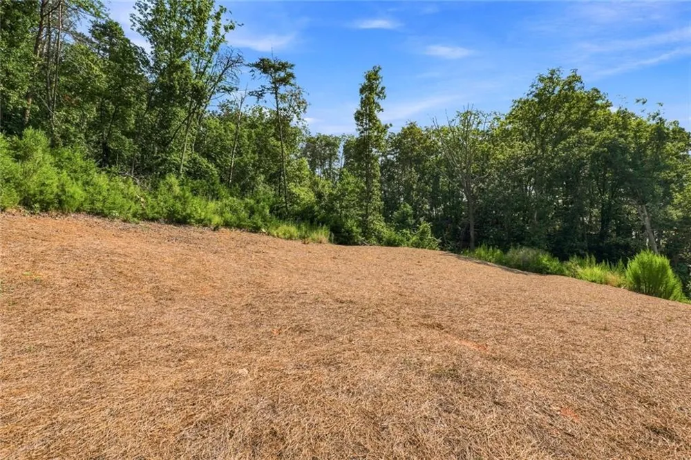 0 Manor Hill Trail Marietta, GA 30066