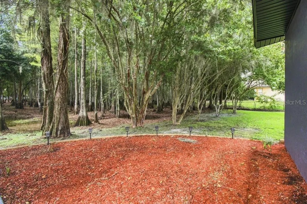 17933 EAGLE LANE Lutz, FL 33558