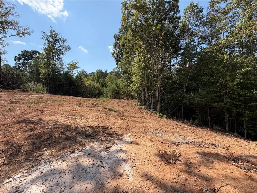3 Blue Mountain Road Morganton, GA 30560