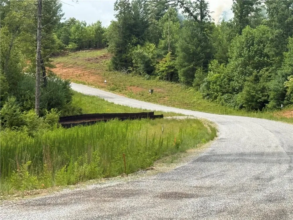 3 Blue Mountain Road Morganton, GA 30560
