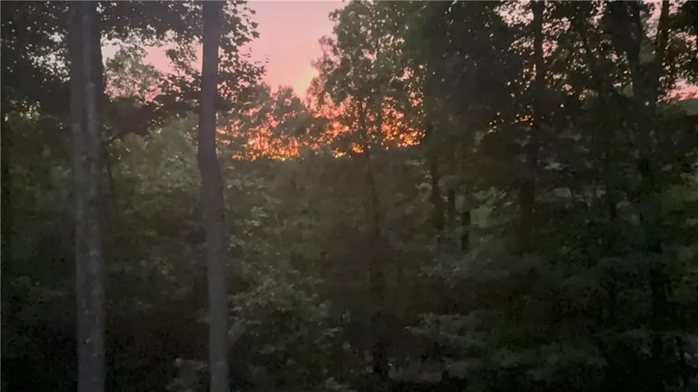 3 Blue Mountain Road Morganton, GA 30560