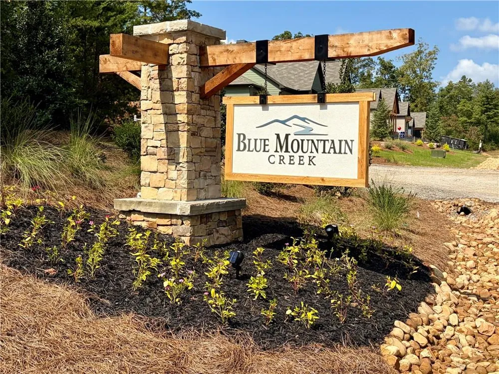 3 Blue Mountain Road Morganton, GA 30560