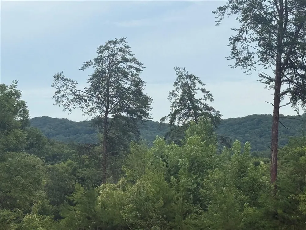 3 Blue Mountain Road Morganton, GA 30560