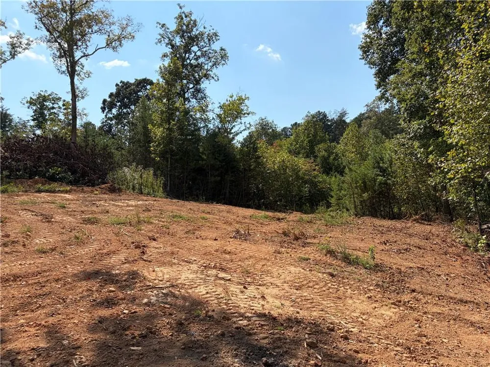 3 Blue Mountain Road Morganton, GA 30560