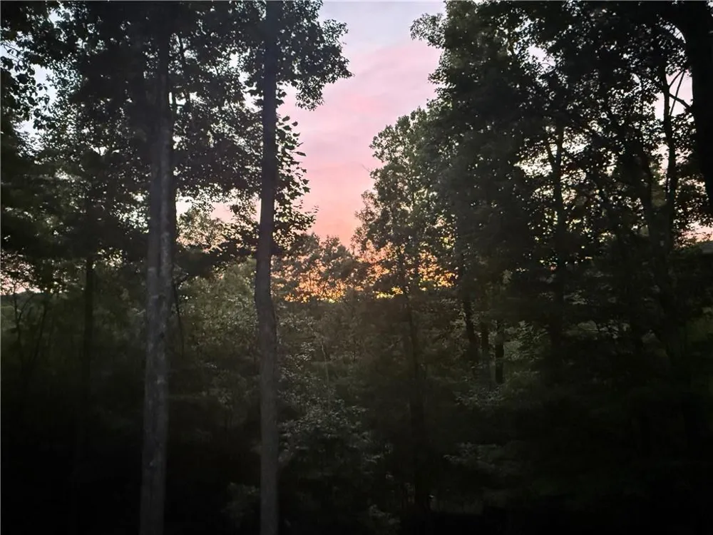 35 Blue Mountain Road Morganton, GA 30560