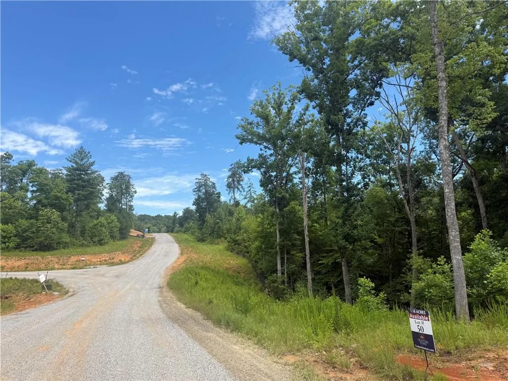 35 Blue Mountain Road Morganton, GA 30560