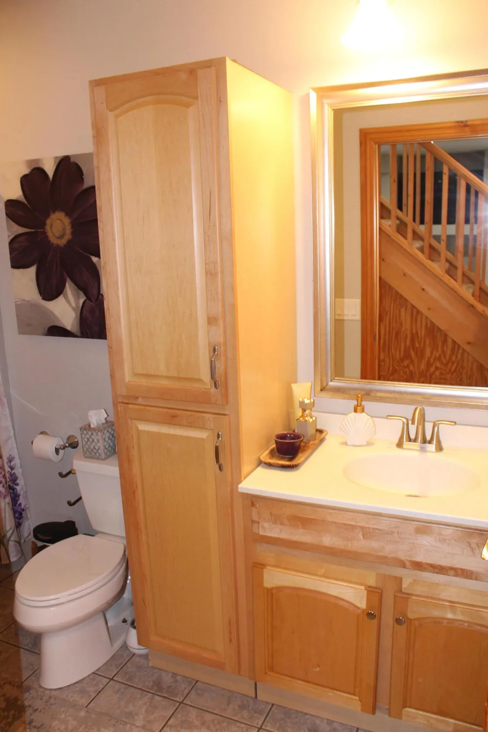 1224 W David Kempf Court Saline, MI 48176