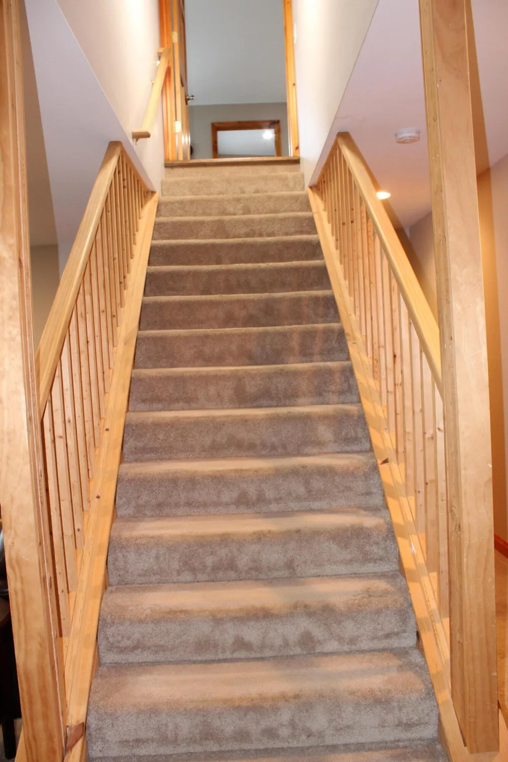 1224 W David Kempf Court Saline, MI 48176