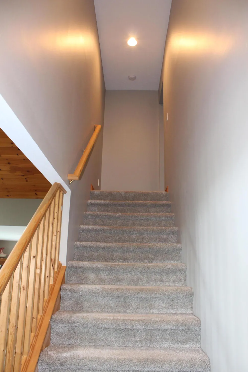 1224 W David Kempf Court Saline, MI 48176