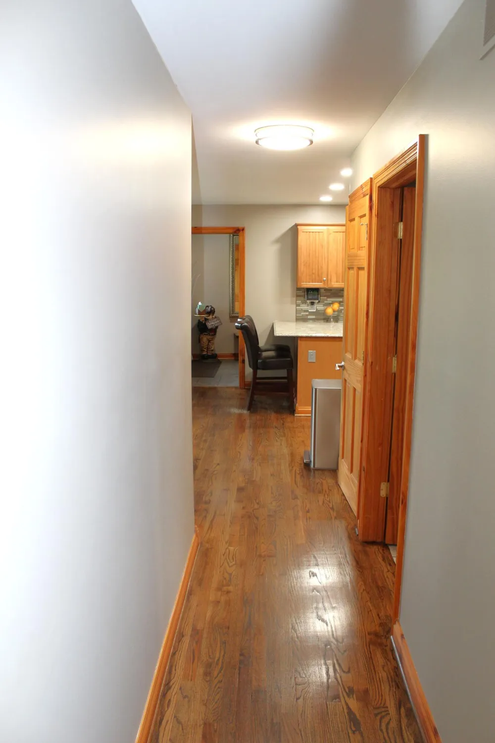 1224 W David Kempf Court Saline, MI 48176