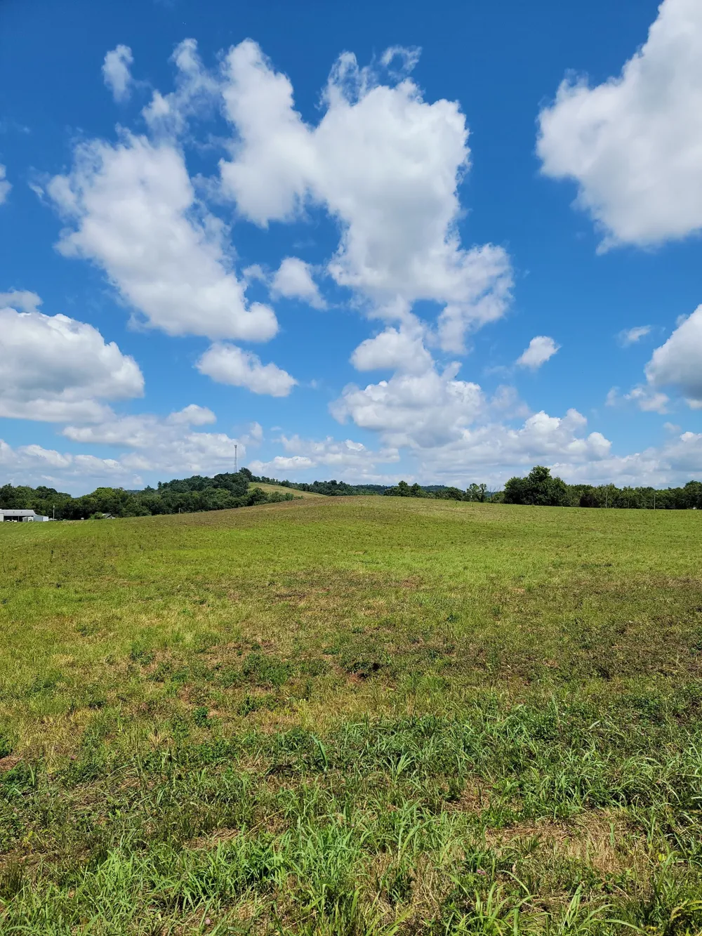 0 Oscar Crowell Beechgrove, TN 37018