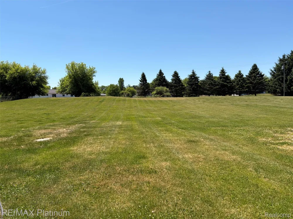 9731 Fountain Lane Handy Township, MI 48836