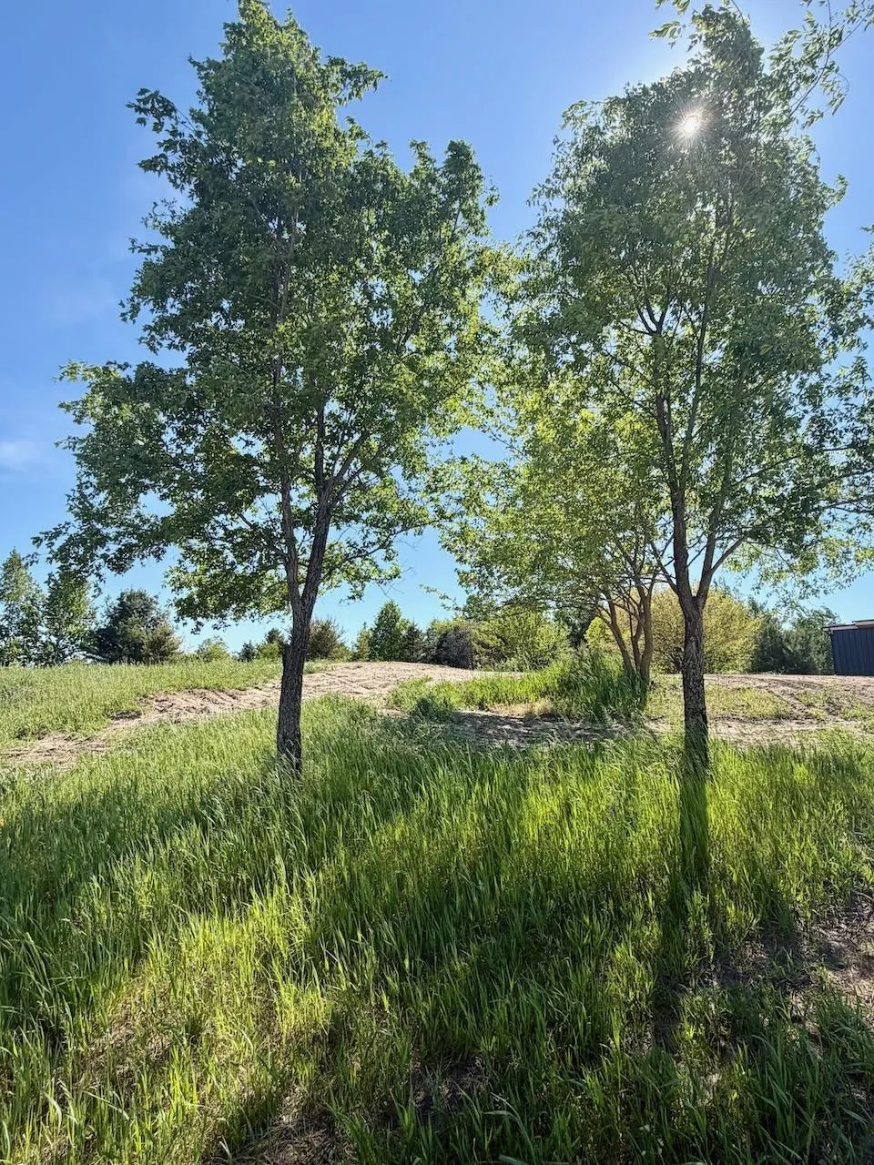 Aurora Vista Trail Whitewater Township, MI 49690