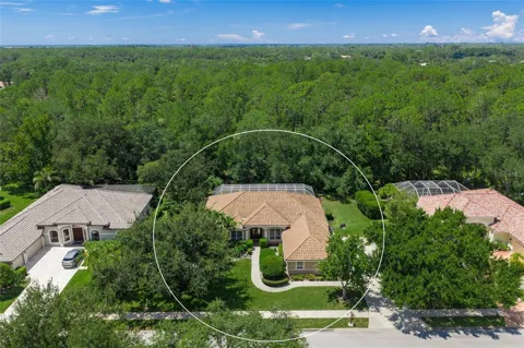 8488 EAGLE PRESERVE WAY
