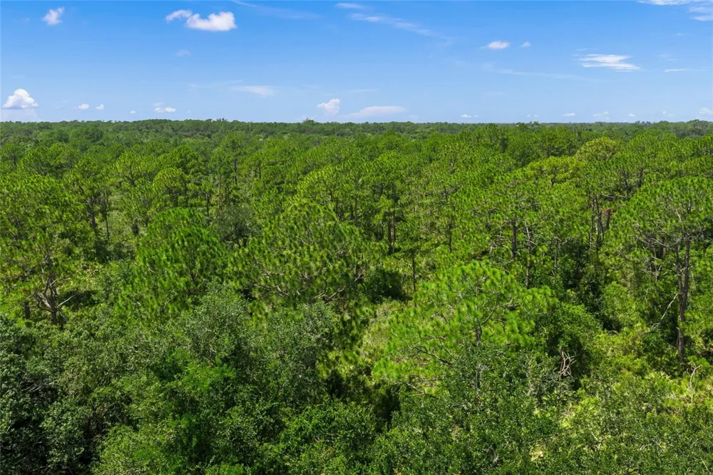 8488 EAGLE PRESERVE WAY Sarasota, FL 34241