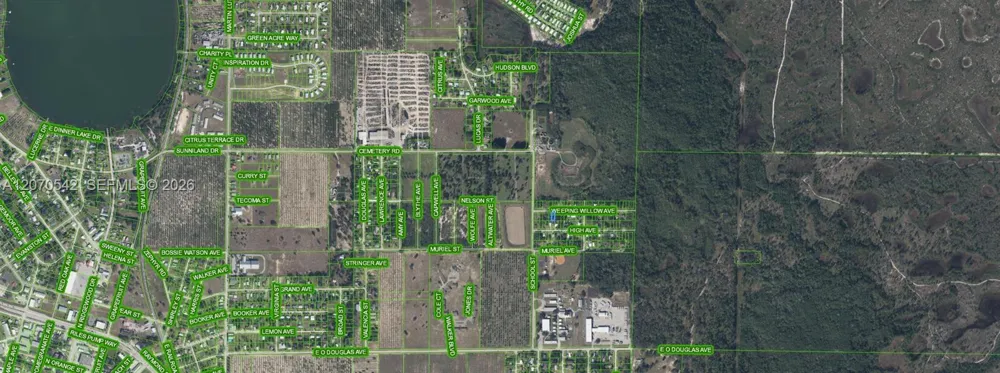4527 Weeping Willow Sebring, FL 33870