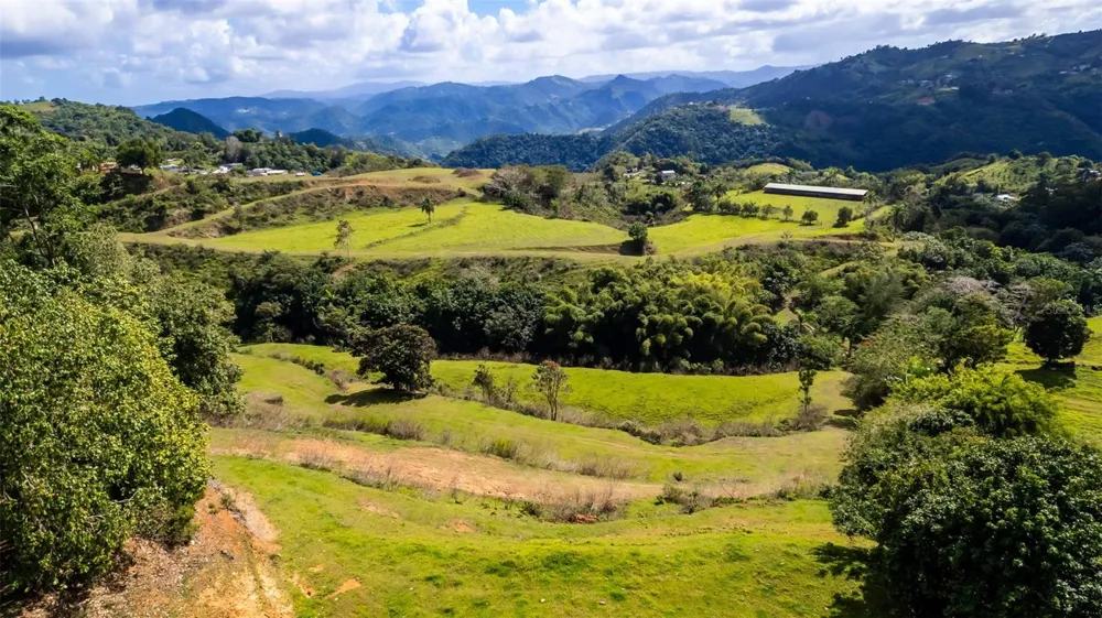 Road 152 CAMINO LAS ORQUIDEAS ROAD Barranquitas, PR 00794