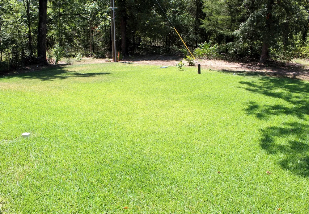 207 Driftwood Drive Trinidad, TX 75163