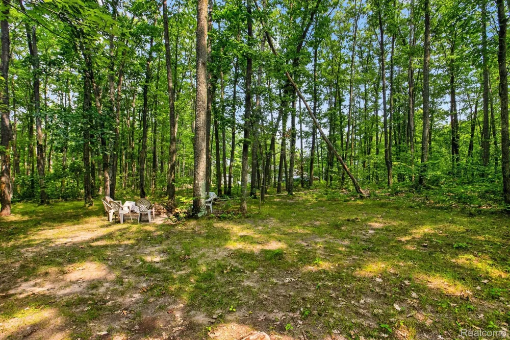 144 Garfield Boulevard Gerrish Township, MI 48653