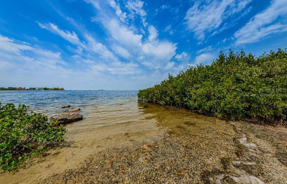 7810 CHAPEL AVENUE Port Richey, FL 34668