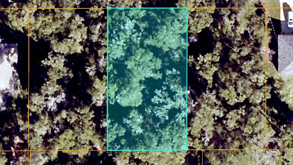 SE 139TH LANE Summerfield, FL 34491
