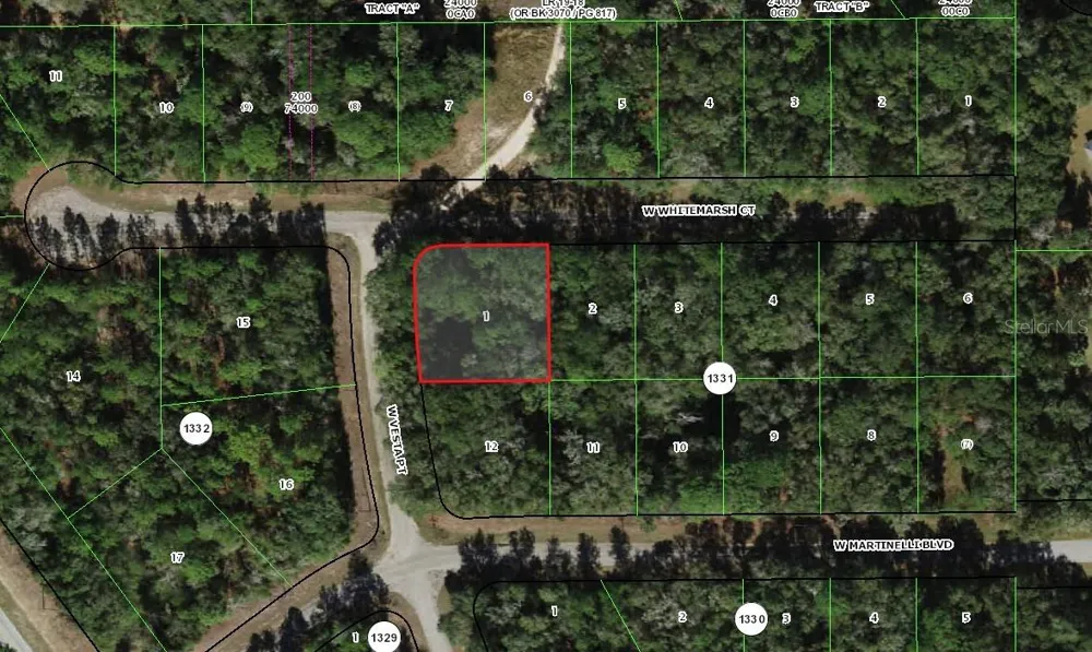 346 W WHITMARSH COURT Citrus Springs, FL 34434