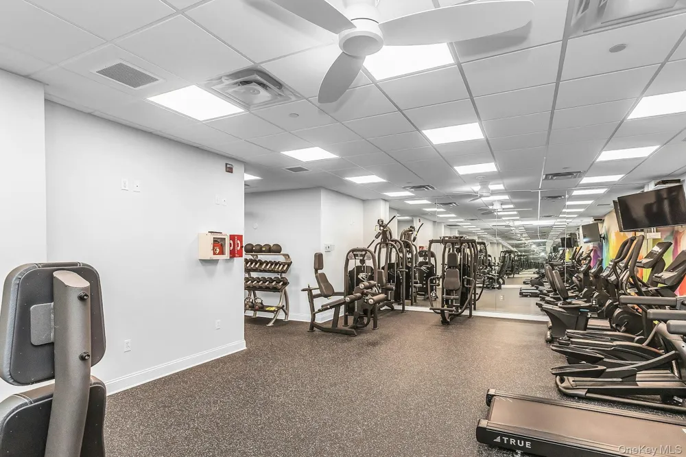 74 Miro Place Port Washington, NY 11050
