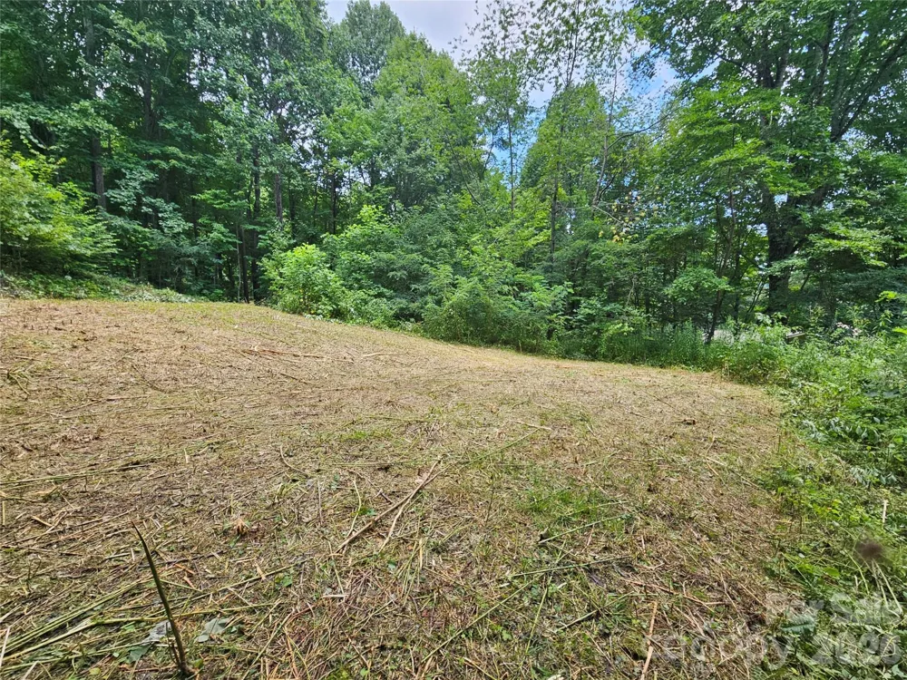 638 Crystal Tree Drive Waynesville, NC 28785