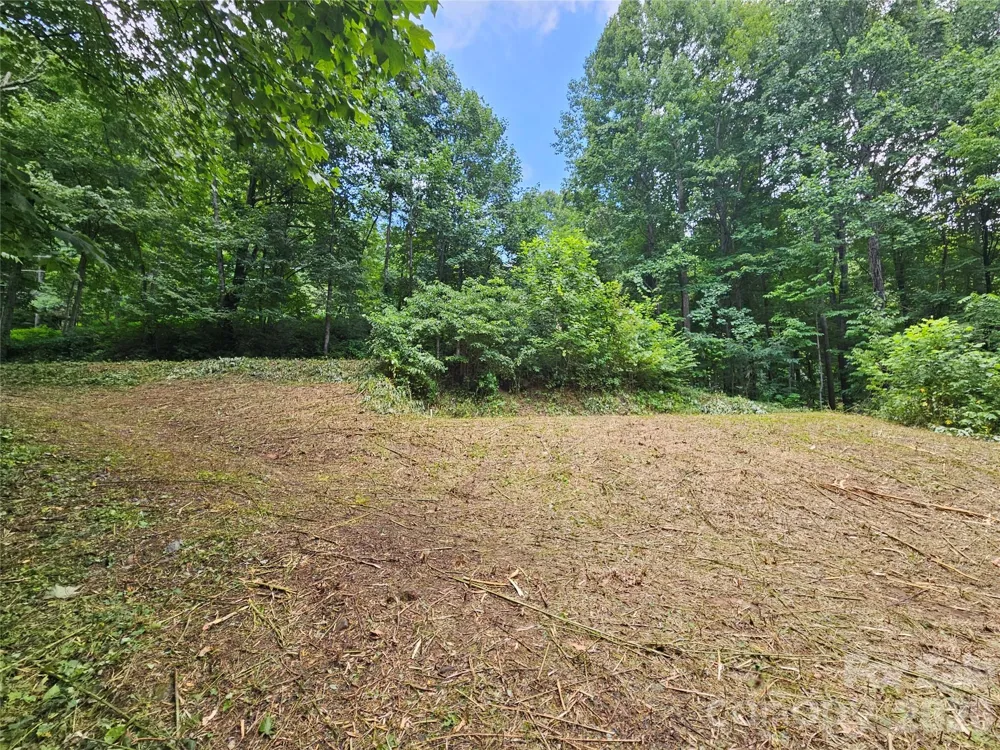 638 Crystal Tree Drive Waynesville, NC 28785