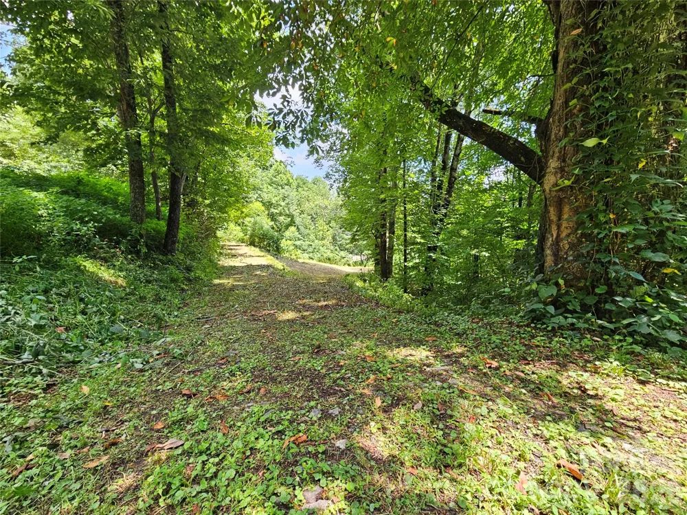 638 Crystal Tree Drive Waynesville, NC 28785