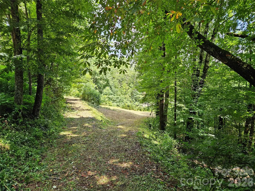 638 Crystal Tree Drive Waynesville, NC 28785