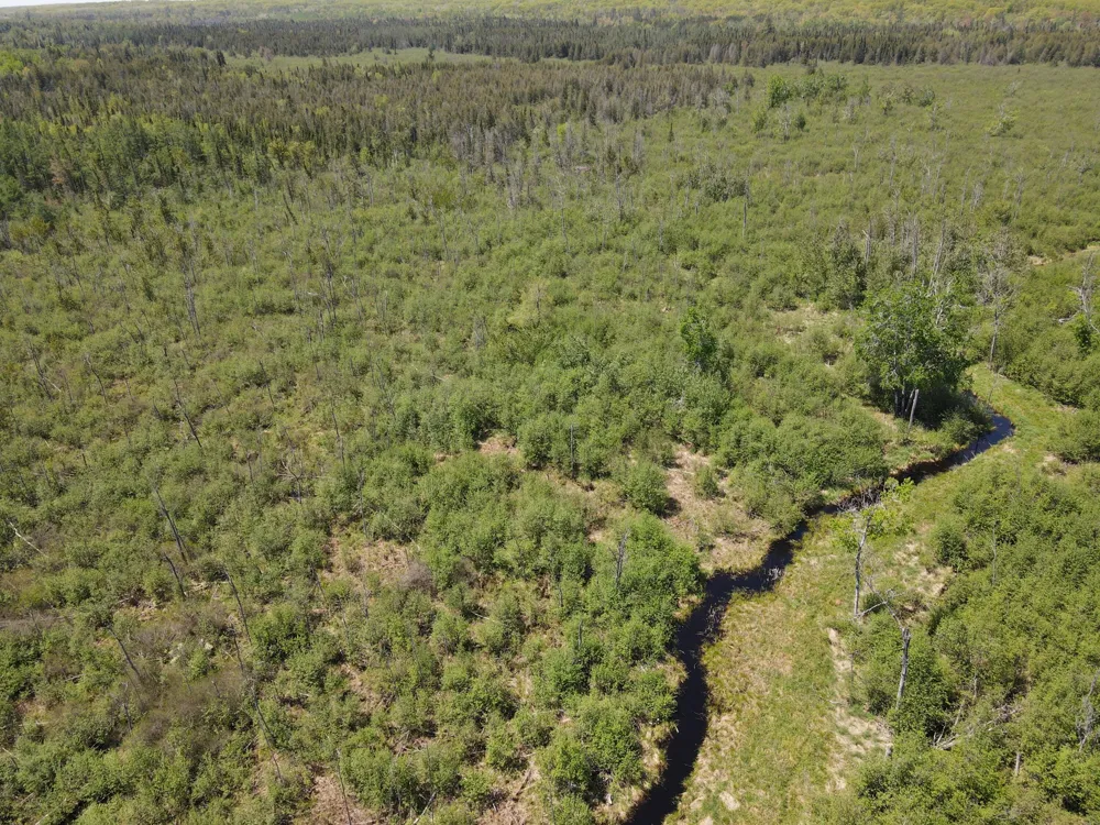 1710 Miller Road Lincoln, MI 48742