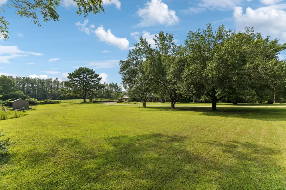216 Napier Lake Rd Hohenwald, TN 38462