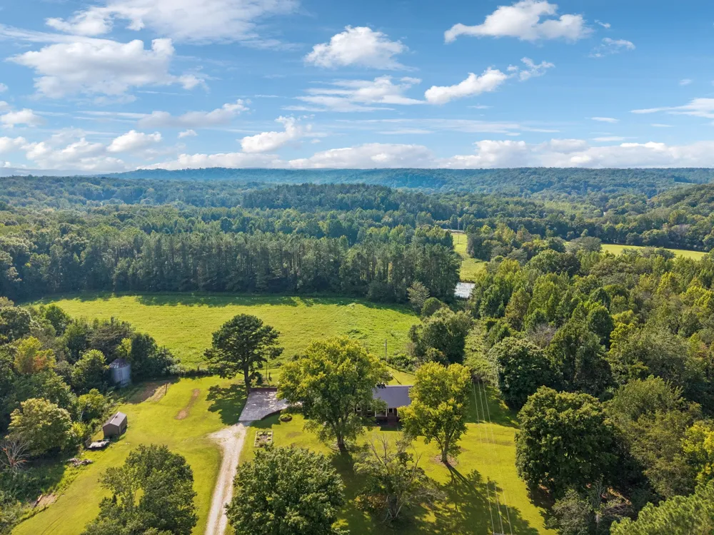 216 Napier Lake Rd Hohenwald, TN 38462