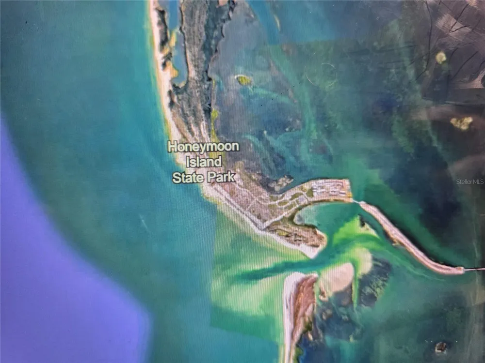 63 OAKWOOD DRIVE Dunedin, FL 34698