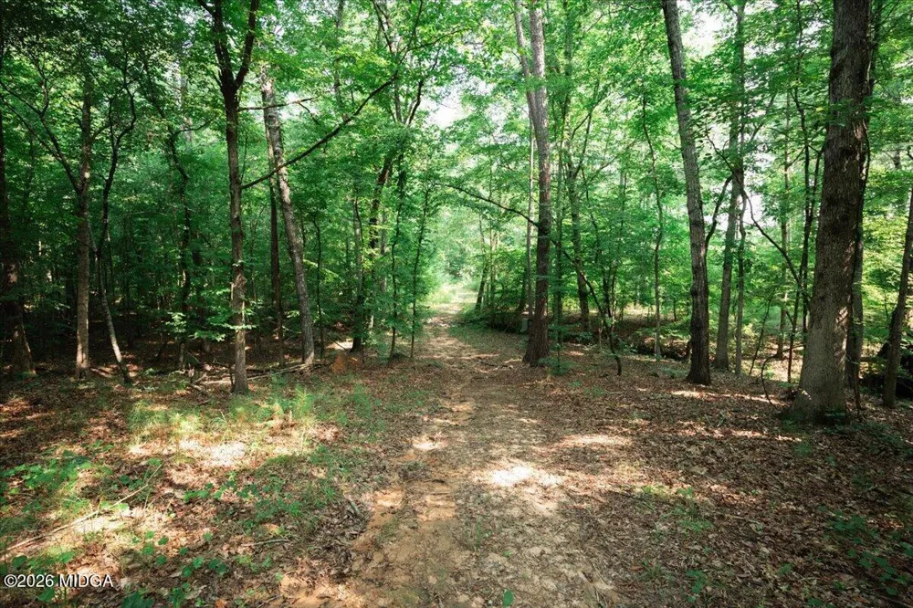 252 Rum Creek Pass Juliette, GA 31046