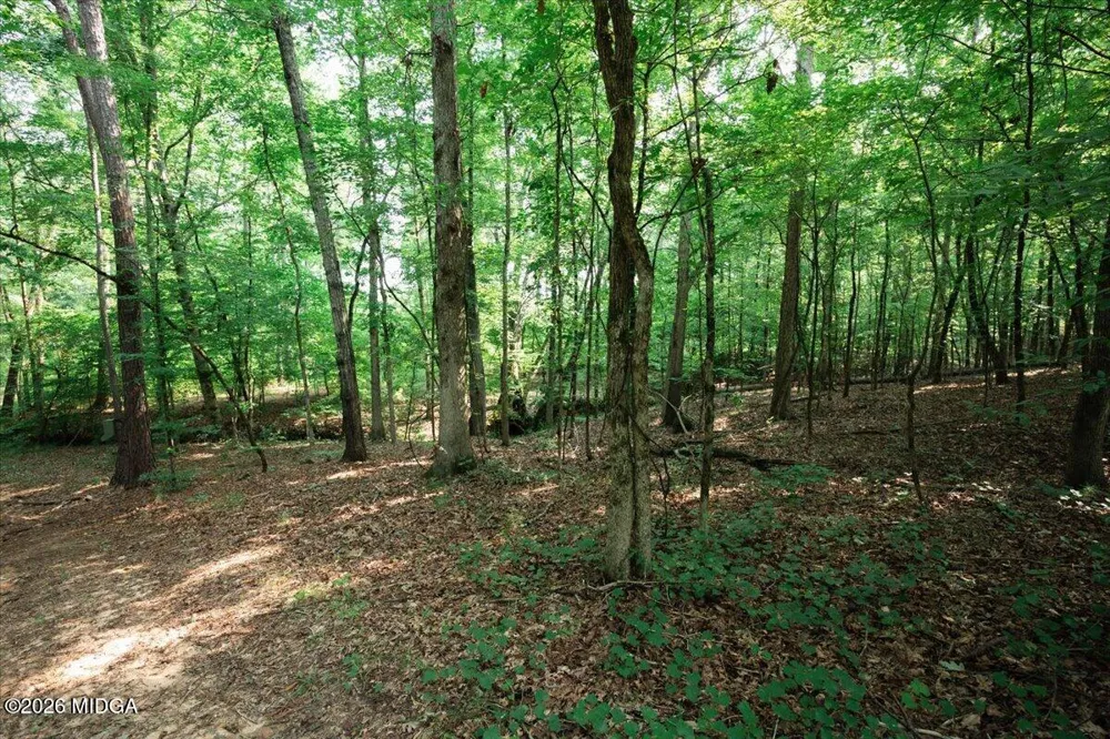 252 Rum Creek Pass Juliette, GA 31046