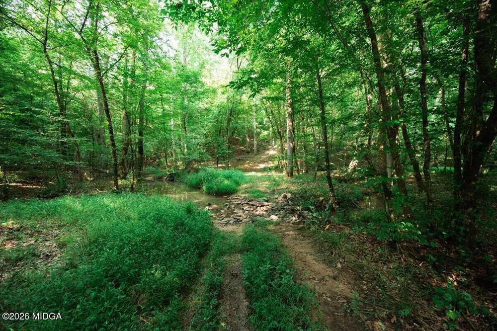 252 Rum Creek Pass Juliette, GA 31046
