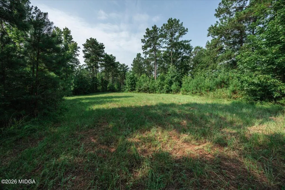 252 Rum Creek Pass Juliette, GA 31046