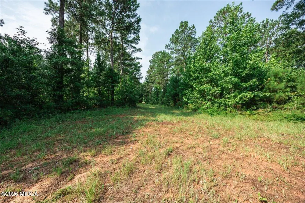 252 Rum Creek Pass Juliette, GA 31046